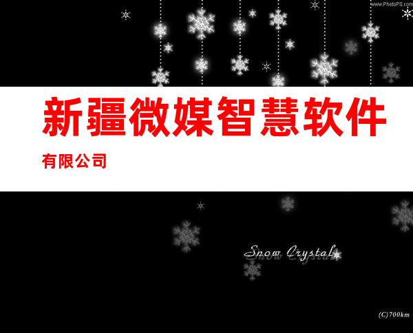 新疆微媒智慧软件有限公司